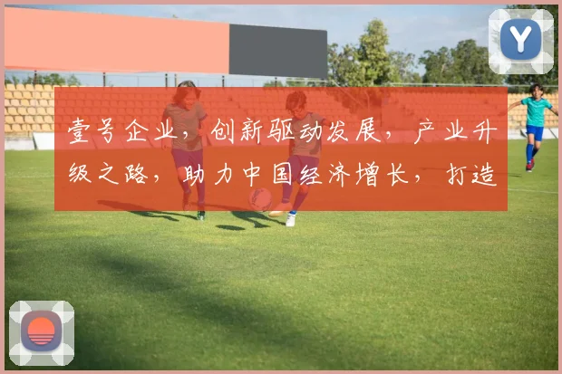 壹号企业，创新驱动发展，产业升级之路，助力中国经济增长，打造行业标杆，共赢未来。