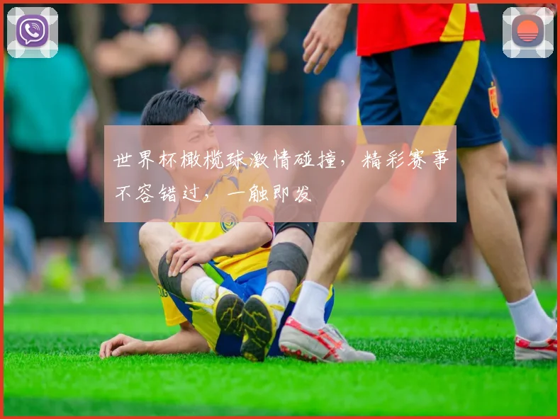 世界杯橄榄球激情碰撞，精彩赛事不容错过，一触即发