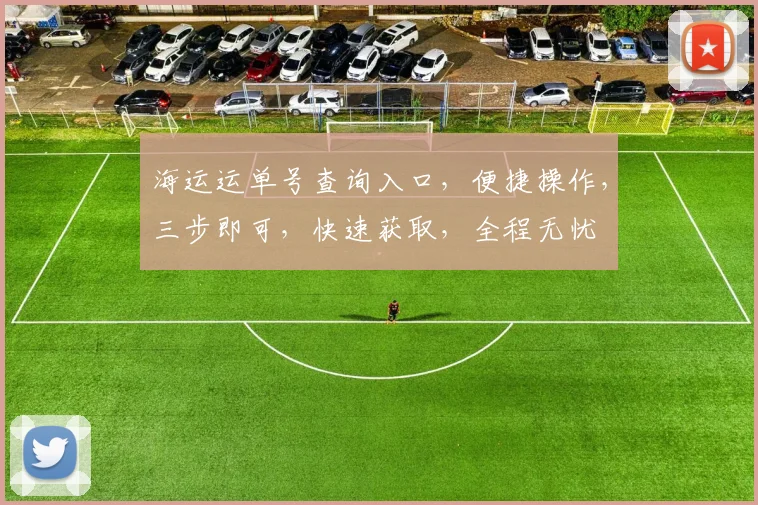 海运运单号查询入口，便捷操作，三步即可，快速获取，全程无忧