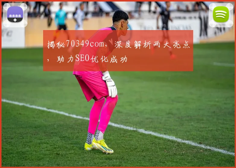 揭秘70349com，深度解析两大亮点，助力SEO优化成功