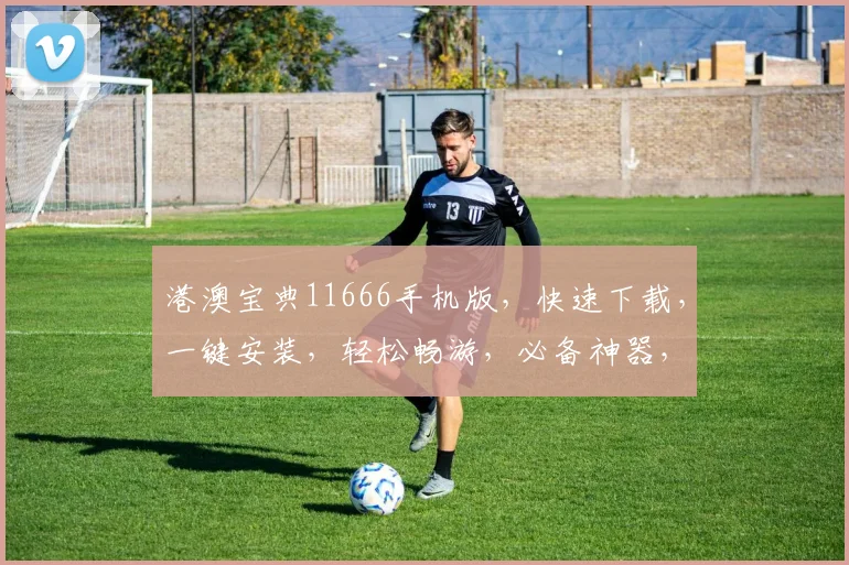 港澳宝典11666手机版，快速下载，一键安装，轻松畅游，必备神器，三步搞定
